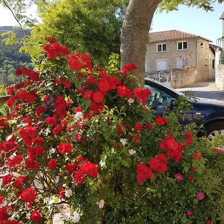Les Gorges Du Tarn Apartment